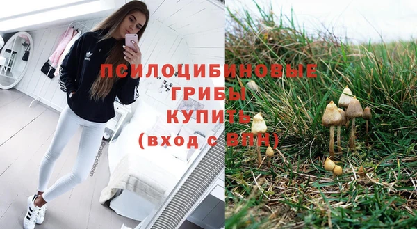 амф Аркадак